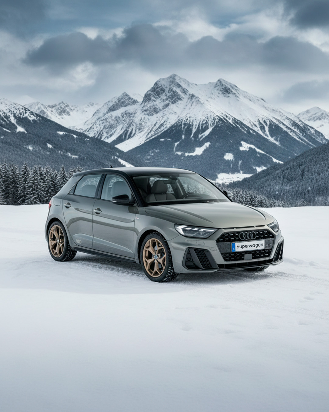 Audi en paisaje nevado